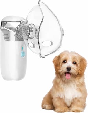 nebulizador para perro pequeño