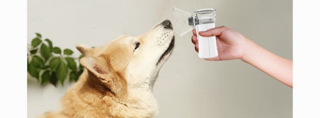 nebulizador para perros